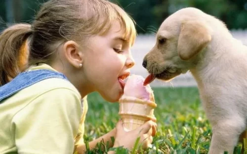 A girl and a puppy sharing an ice cream