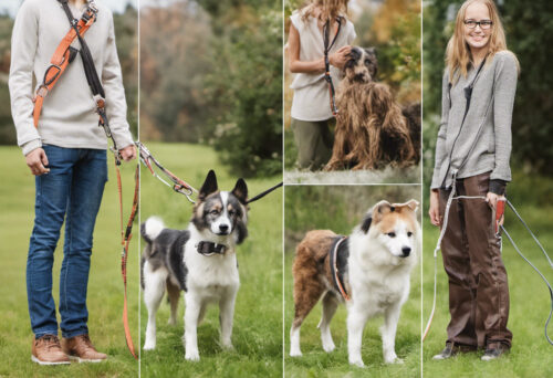 Choosing the Perfect Dog Leash: The Ultimate Guide