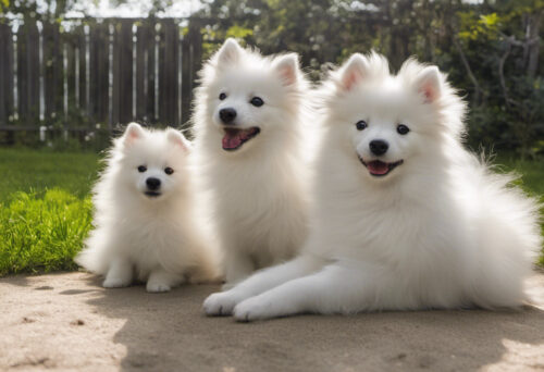 From Puppyhood to Adulthood: Navigating the Stages of Your Japanese Spitz