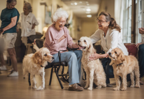 The benefits of dogs in elderly care and assisted living facilities